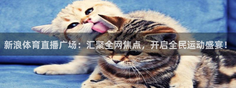 绿茵体育直播官网下载：新浪体育直播广场：汇聚全网焦点，开启全民运动盛宴！
