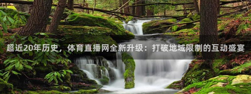 绿茵足球官网：超近20年历史，体育直播网全新升级：打破地域限制的互动盛宴