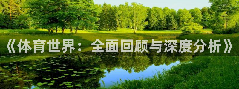 绿茵足球吧：《体育世界：全面回顾与深度分析》