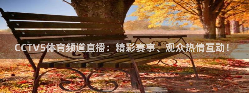 绿茵足球直播免费观看直播：CCTV5体育频道直播：精彩赛事、观众热情互动！