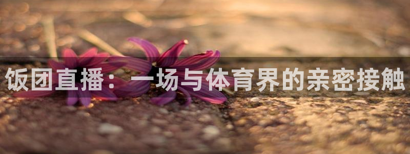 绿茵直播体育免费观看高清：饭团直播：一场与体育界的亲密接触