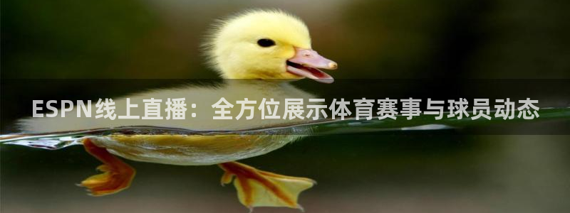 cba绿茵直播：ESPN线上直播：全方位展示体育赛事与球员动态