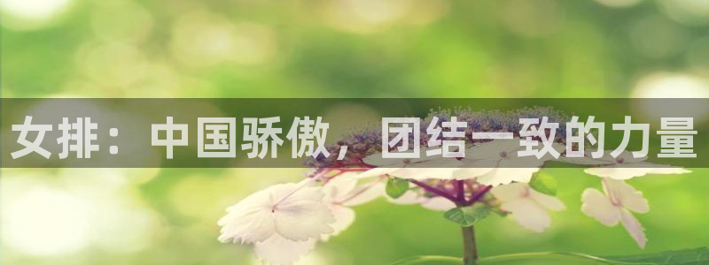 绿茵体育足球免费直播：女排：中国骄傲，团结一致的力量